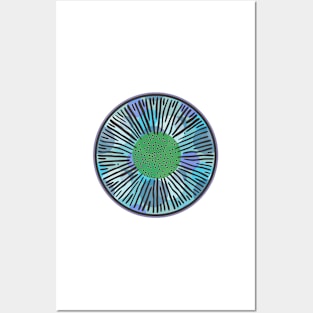 Diatom - Lindavia intermedia (artwork) Posters and Art